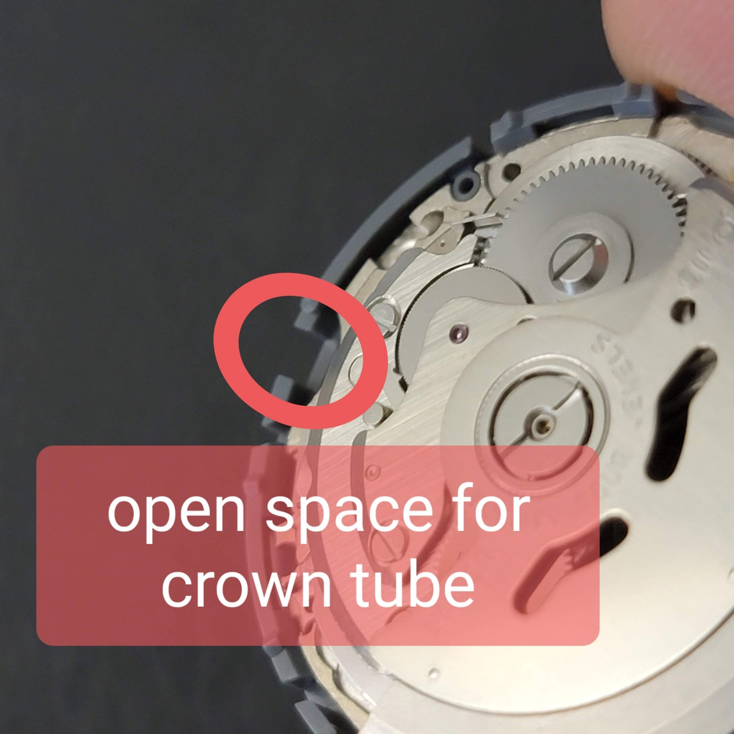 Case SKX007 FMX Conversion Crown Guard
