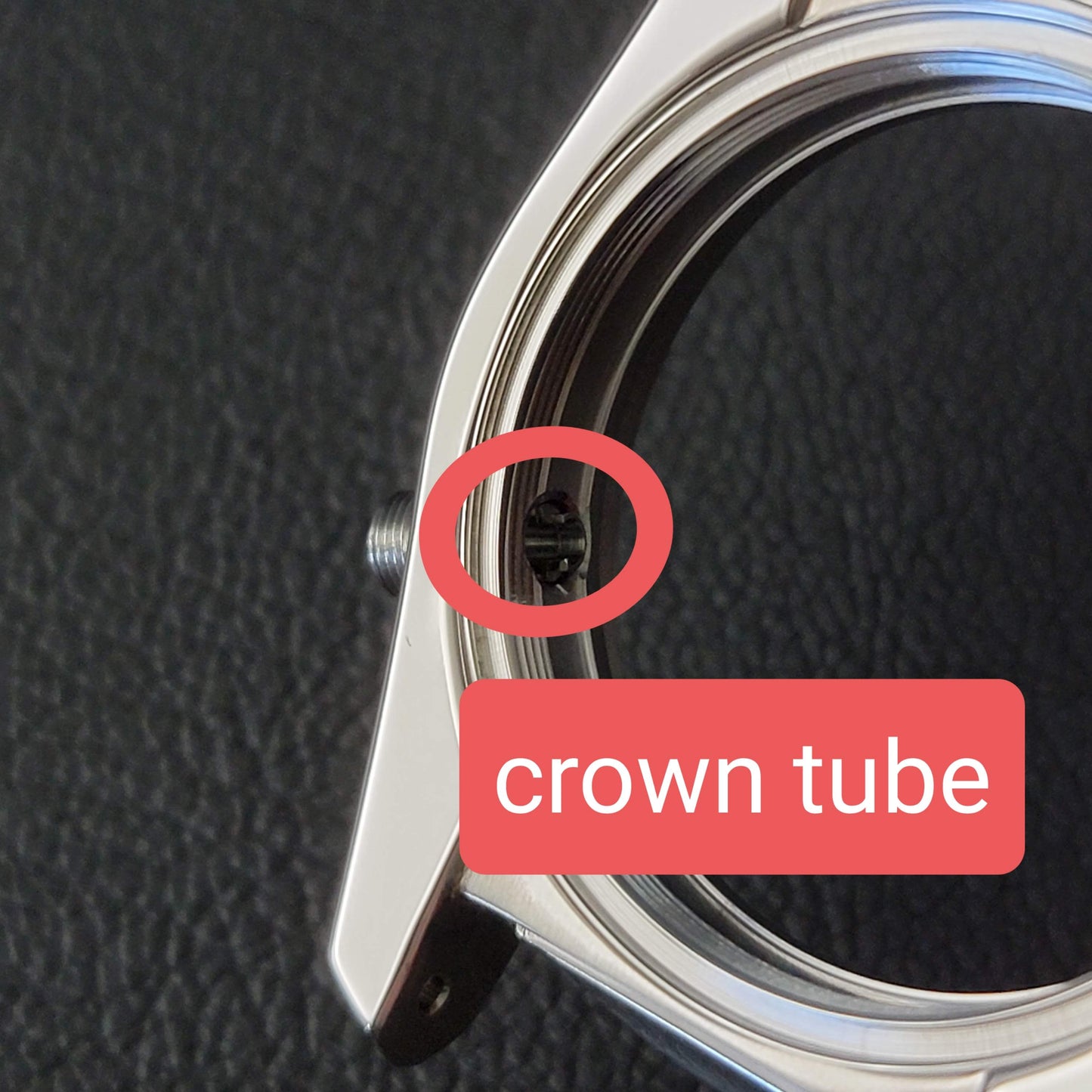 Case SKX007 FMX Conversion Crown Guard