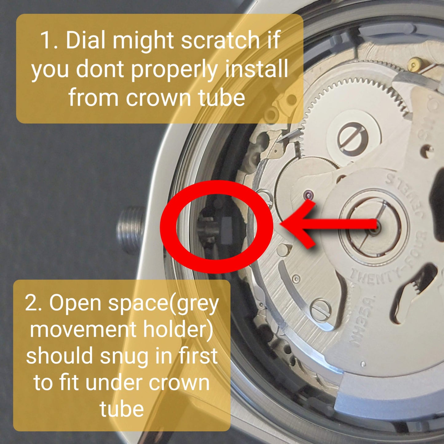 Case SKX007 FMX Conversion Crown Guard